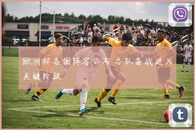 欧洲杯各国阵容公布 各队备战进入关键阶段