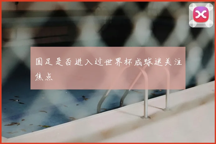 国足是否进入过世界杯成球迷关注焦点