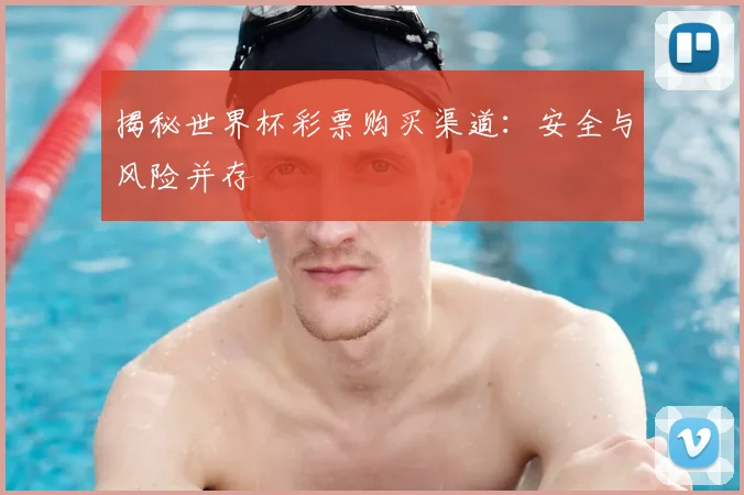 揭秘世界杯彩票购买渠道：安全与风险并存