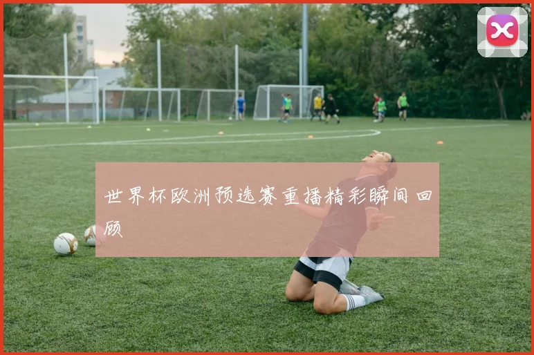 世界杯欧洲预选赛重播精彩瞬间回顾