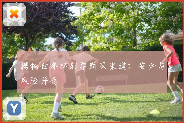 揭秘世界杯彩票购买渠道：安全与风险并存