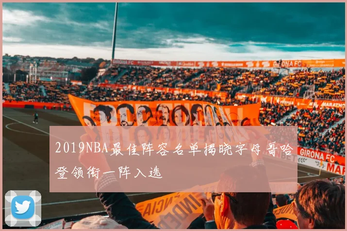 2019NBA最佳阵容名单揭晓字母哥哈登领衔一阵入选