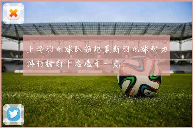 上海羽毛球队领跑最新羽毛球耐力排行榜前十名选手一览