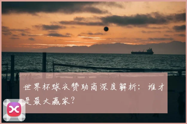 世界杯球衣赞助商深度解析：谁才是最大赢家？