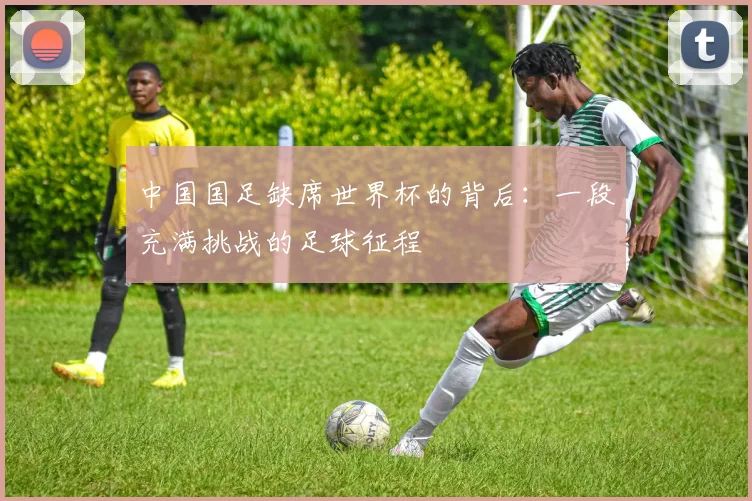 中国国足缺席世界杯的背后：一段充满挑战的足球征程