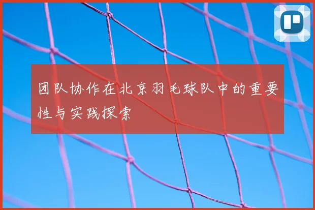 团队协作在北京羽毛球队中的重要性与实践探索