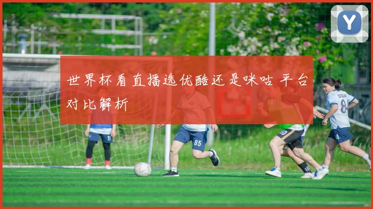 世界杯看直播选优酷还是咪咕 平台对比解析
