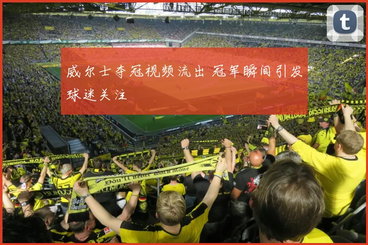 威尔士夺冠视频流出 冠军瞬间引发球迷关注