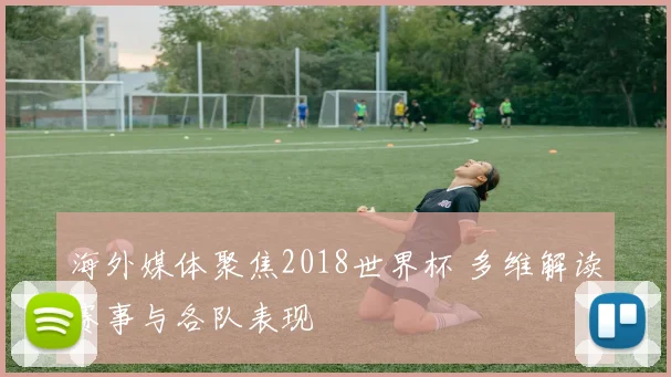 海外媒体聚焦2018世界杯 多维解读赛事与各队表现